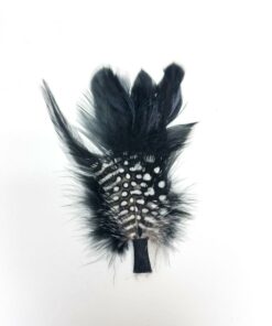 Swift Hat Feather