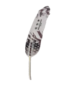 Valor Hat Feather